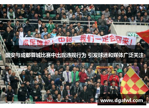 国安与成都蓉城比赛中出现违规行为 引发球迷和媒体广泛关注