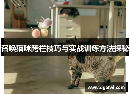 召唤猫咪跨栏技巧与实战训练方法探秘