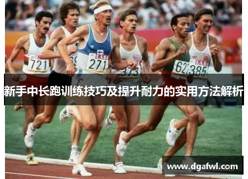 新手中长跑训练技巧及提升耐力的实用方法解析